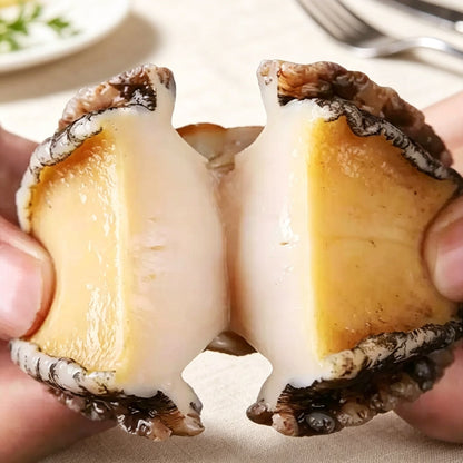 Frozen Shell-Removed Abalone Meat